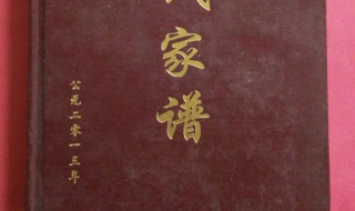 家谱如何写才是正确（家谱如何写才是正确格式）