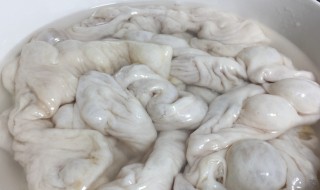 如何清洗猪大肠（如何清洗猪大肠和猪肚子）