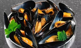 如何清洗淡菜（如何清洗淡菜视频）