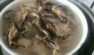 海马如何清洗（海马如何清洗肚）