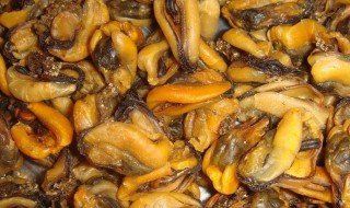 淡菜如何清洗 淡菜如何清洗处理
