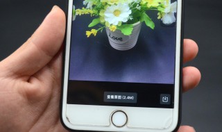 微信原图怎么发 微信原图怎么发送