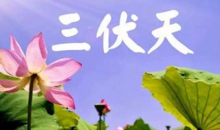 暑伏是什么时间开始的（暑伏是什么时间开始的2020年）