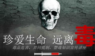 国际禁国际禁毒日是每年的哪一天（国际禁毒日每年的哪一日）