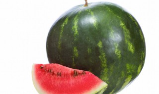 迷你西瓜种植方法（迷你西瓜盆栽种植方法）