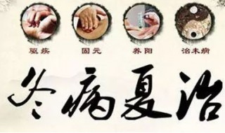 什么是三伏调理 什么是三伏调理饮食