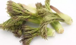 刺嫩芽的食用方法（刺嫩芽食用方法及其药用价值）