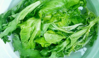 青菜如何清洗（青菜如何清洗焯水）