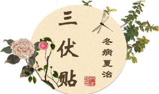 三伏贴后多久吃西瓜 贴完三伏贴隔天可以吃西瓜吗