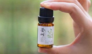 茶树精油的作用和功效 蕙芷茶树精油的作用和功效