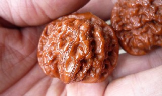文玩核桃如何清洗（文玩核桃如何清洗才能玩）