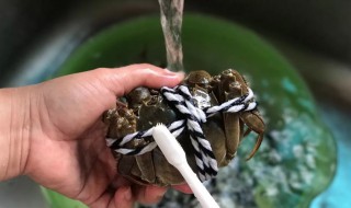 如何清洗大闸蟹（如何清洗大闸蟹的毛）