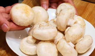 口蘑里面发黑还能吃吗 口蘑里面发黑还能吃吗有毒吗