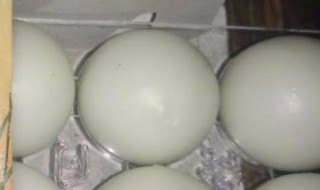 孔圣枕中丹的功效与作用 孔圣枕中丹的功效与作用一天吃多少