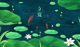 为什么立夏要吃蛋