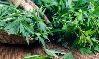 艾草挂门中间吗 艾草挂门里还是门外