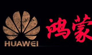 nova5如何升级鸿蒙系统（nova5升级鸿蒙系统感受）