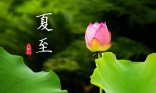 夏至是夏天结束了吗 夏至是夏天结束了吗?