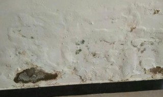 墙面反碱怎么办 墙面反碱怎么办怎么修复