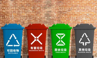 可降解塑料袋可以放在湿垃圾里面吗（可降解塑料袋可以放在湿垃圾里面吗视频）