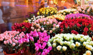 高铁可以带鲜花上去吗（高铁可以带鲜花上去吗现在）
