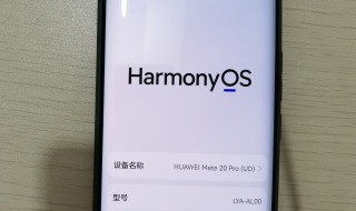 mate40怎么升级鸿蒙系统（mate40如何升级到鸿蒙）
