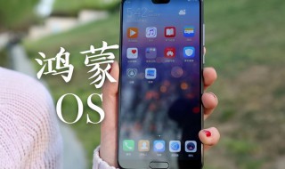 华为p10手机如何升级鸿蒙系统 华为P10怎样升级鸿蒙系统
