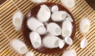 蚕茧是由几根蚕丝组成（蚕茧是由几根蚕丝组成作用是保护）