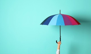 雨伞布料是什么材料（雨伞的布料是什么材质）