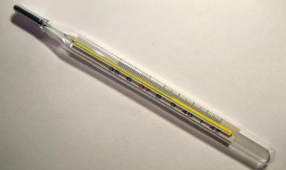 怎么看水银温度计（怎么看水银温度计图片）