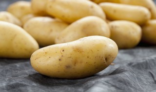 新土豆如何保存方法（新土豆如何保存方法不变绿）