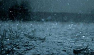下雨之前的自然现象（下雨之前的自然现象十种）
