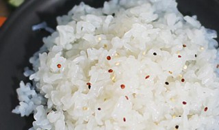 魔芋米可以长期代替米饭吗（魔芋米能蒸米饭吗）