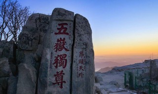 泰山高度（泰山高度多少米,多少级台阶）