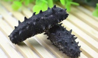 如何清洗干海参（海参怎么清洗才干净）