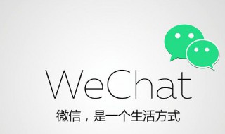 微信怎么查看聊天记录（微信怎么查看聊天记录占用空间）