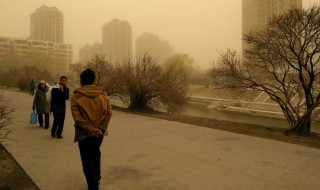 沙尘暴来临时我们应该怎么做（沙尘暴来临时我们应该怎么做英文）