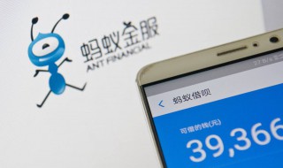 蚂蚁借呗公积金怎么填 蚂蚁借呗需要填写哪些资料