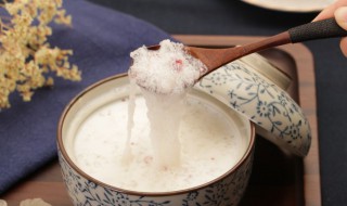 雪燕是什么东西（雪燕是什么东西 有什么功效贵吗）