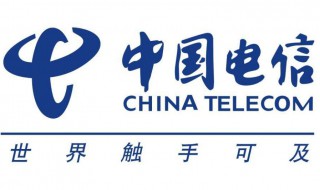 电信携号入网怎么办理（携号入网电信在线申请）