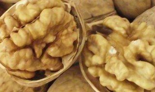 纸皮核桃如何保存 纸皮核桃如何保存最好