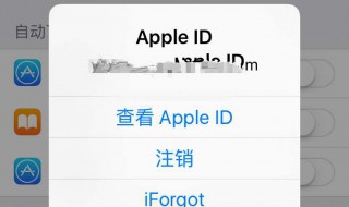 苹果登录id密码忘记了怎么办（苹果id登陆忘记密码怎么办）