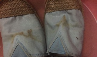 铁锈怎么洗（衣服弄到铁锈怎么洗）