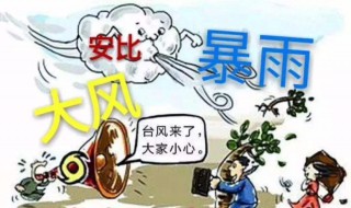 台风来了要怎么防范（台风来了怎么防范答案）