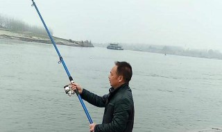 钓鱼线组搭配钓多大鱼（钓鱼常用线组搭配）