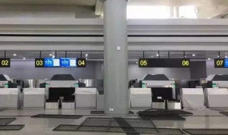 值机是什么意思?（坐飞机值机是什么意思）