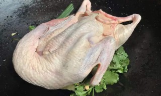 鸭子拔毛的好方法 鸭子如何快速拔毛