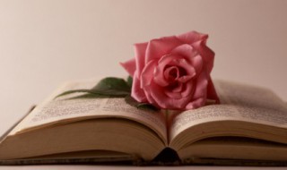 2020爆款文案（2020爆火文案）