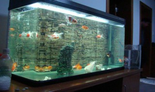 清洗鱼缸的好方法（清洗鱼缸的简单方法）