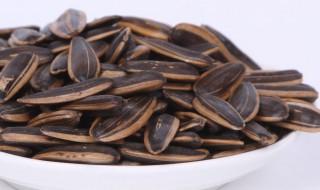 种小葵花籽的方法（葵花籽怎么种小盆栽）